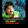 دانلود آهنگ جدید  شاهرخ سالار   گل گلدون